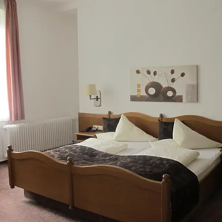 Hotel Anlage Heidelberg-3