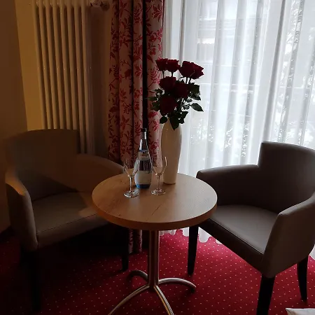 Hotel garni An den Salinen-3