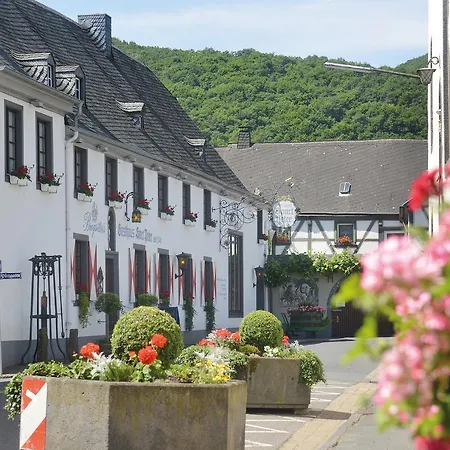 Landhotel Sanct Peter-3