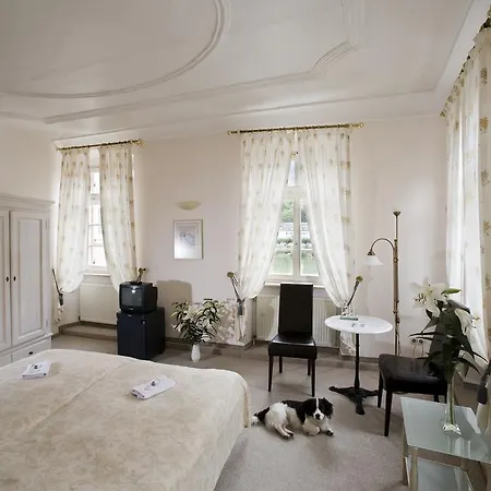 Hotel Goldener Hecht-3