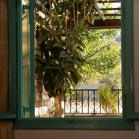 Dimitris Villa Hotel-3