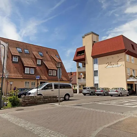 Hotel Hirsch-2
