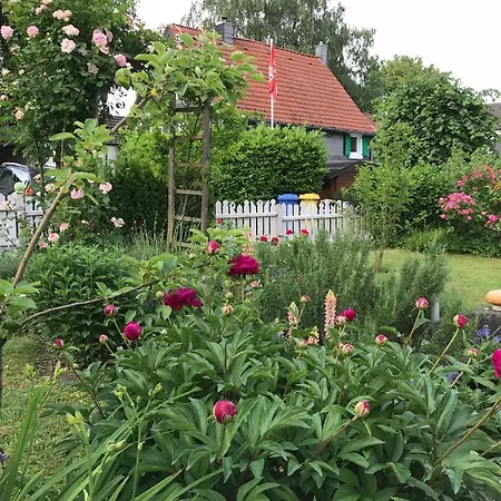 Buxhaus-3