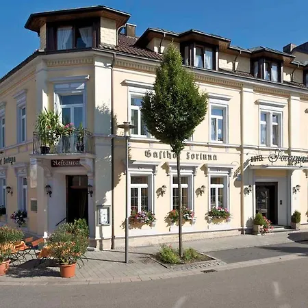 Hotel Fortuna-2