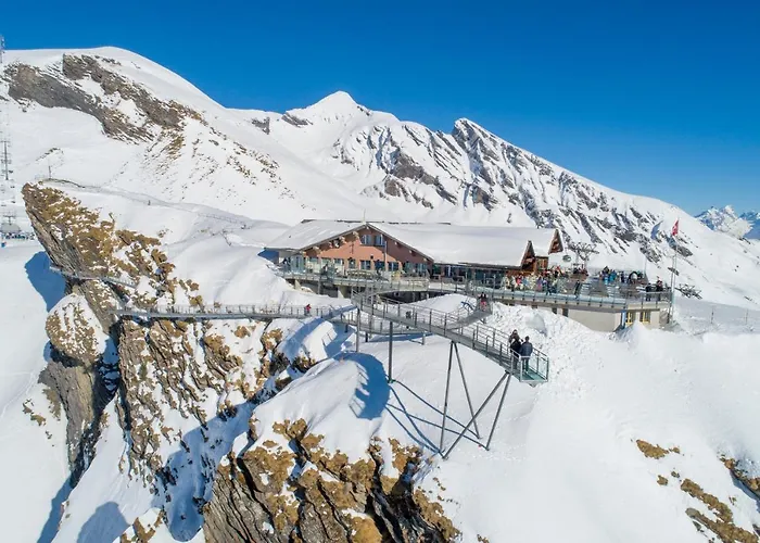 Hotel mit Hund Berggasthaus First - Only Accessible By Cable Car