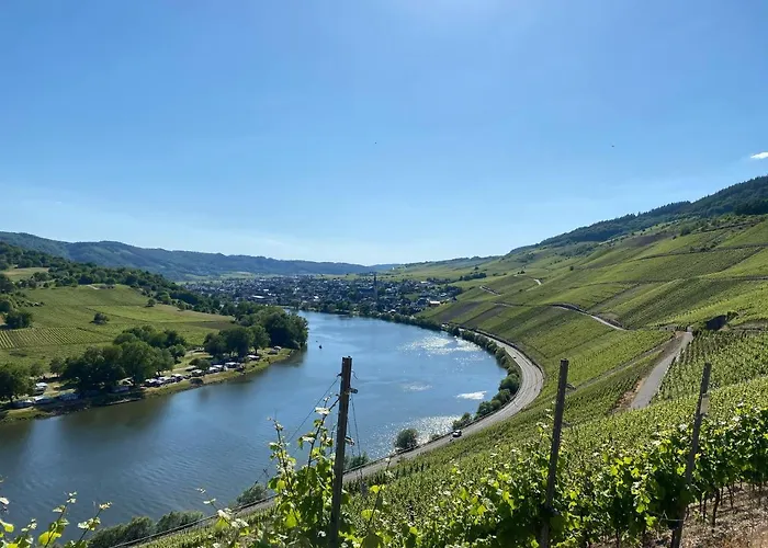Hotel Am Springiersbacher-Hof