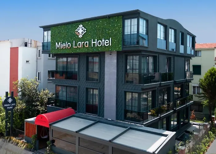 4-Sterne-Hotel: Mielo Lara Hotel