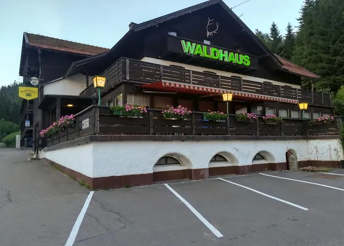 Hotel mit Hund Waldhaus
