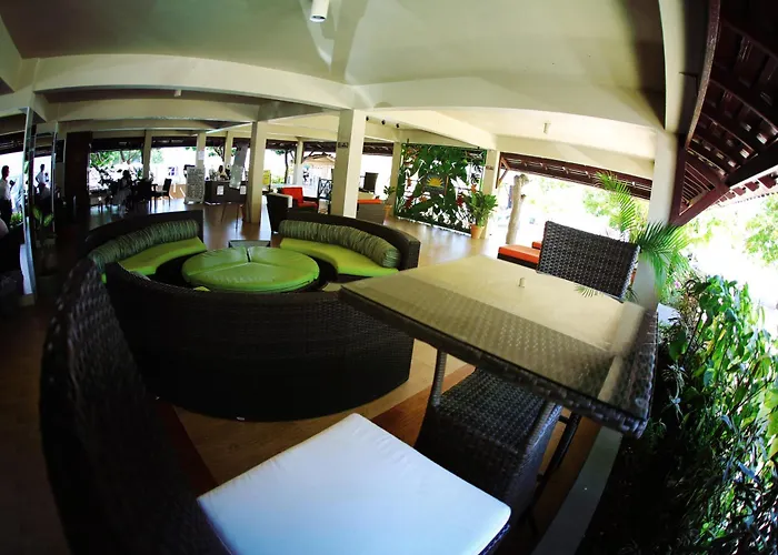 Treehouse Resort