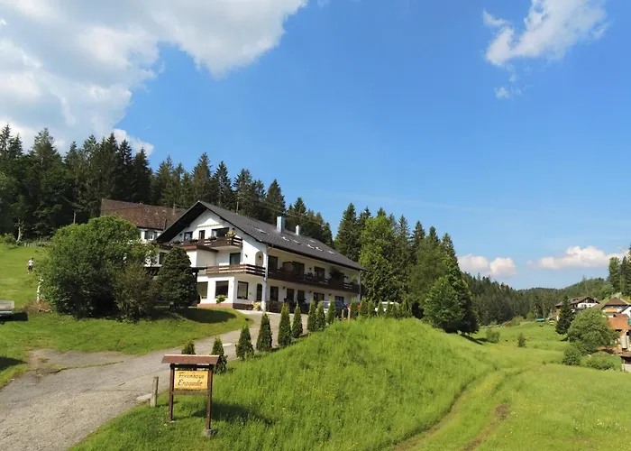 Ferienhaus Enzquelle