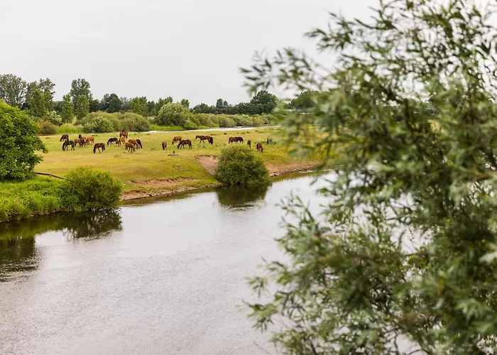 Thöles*** Am Allerpark Verden