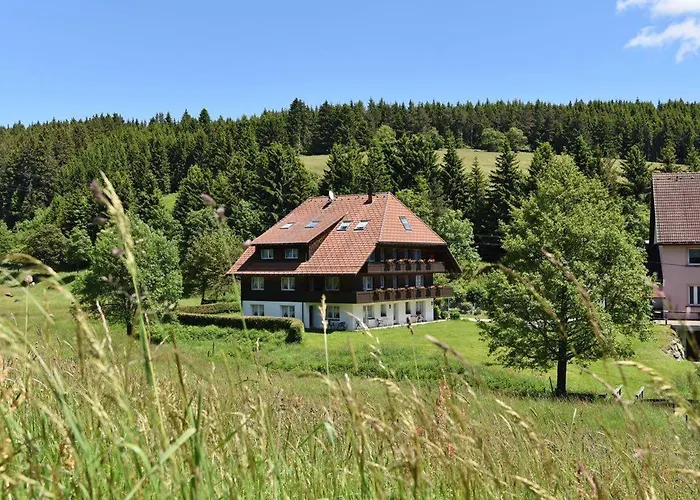 Hirschen