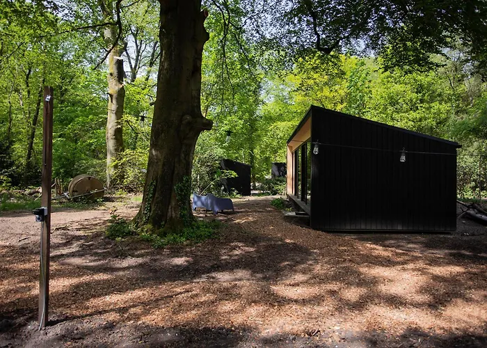 B&B: Adelaerthoeve Logies & Ontbijt