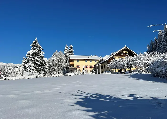 Hotel mit Aussicht: Hotel Grünwalderhof