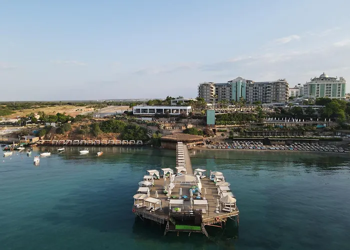 Laur s Experience & Elegance