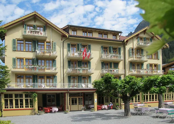 Historic Hotel Falken