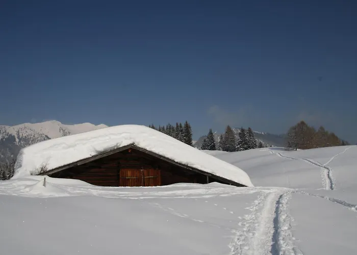 Hotel: Alpengasthof Almrose im Heutal