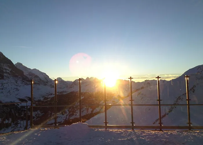 Hotel mit Hund Berggasthaus First - Only Accessible By Cable Car