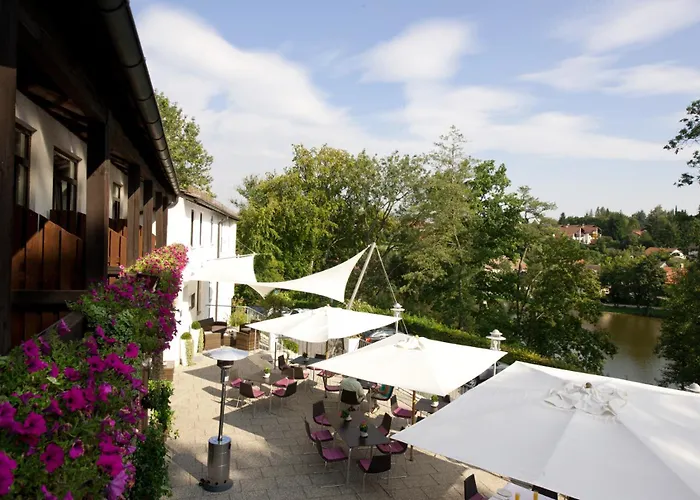 Haustierfreundliches Hotel: Hotel Seeluna am Klostersee