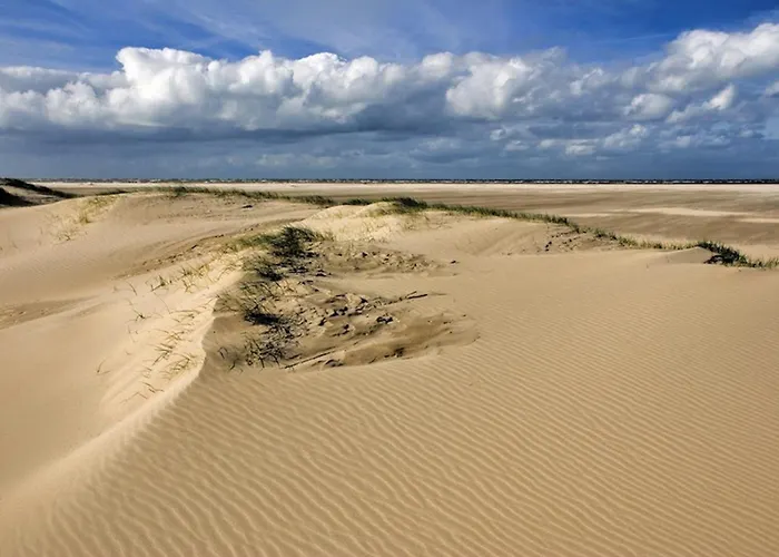 Günstiges Hotel: Ara Dune Hotel