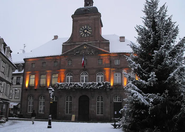 D'Alsace
