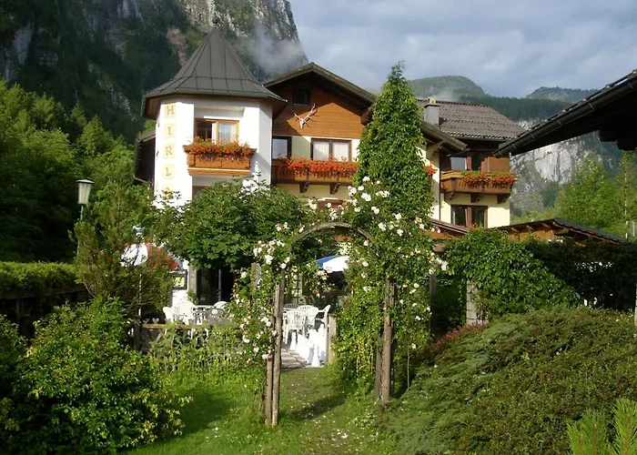  Hirlatz