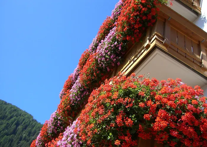 Hotel Alpenrose B&B Suites&Apartements
