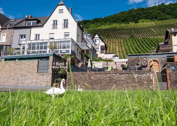 Zentrales Hotel: Weingut / Gästehaus Gerlach