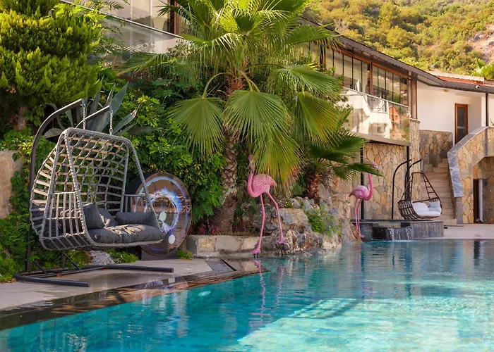 Illusion Beach & Clubhotel - Adults Only