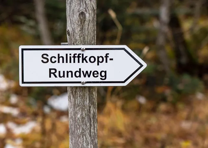 Haustierfreundliches Hotel: Nationalpark-Hotel Schliffkopf