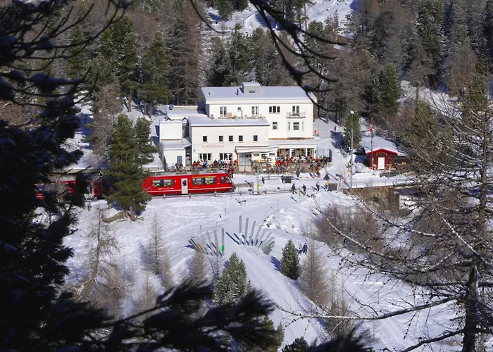 Haustierfreundliches Hotel: Gletscher-Hotel Morteratsch