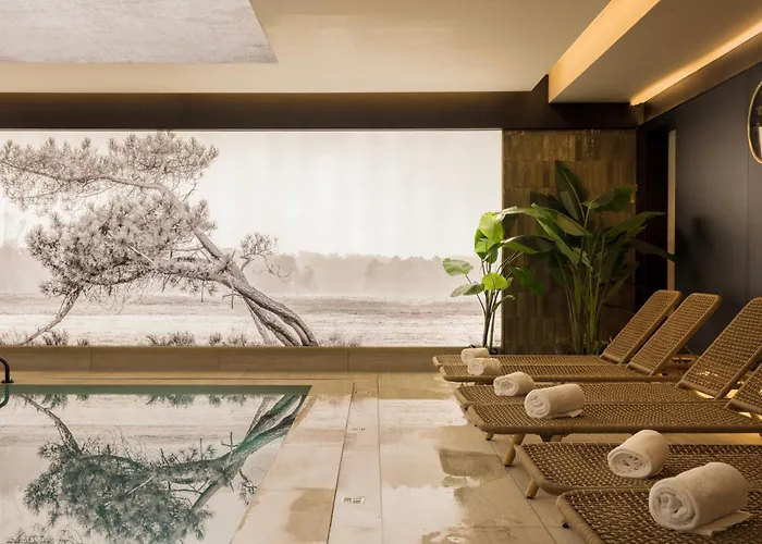 Beach Palace By Cw Collection