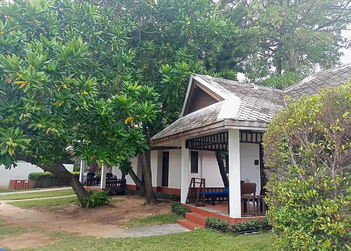The Hive Hotel