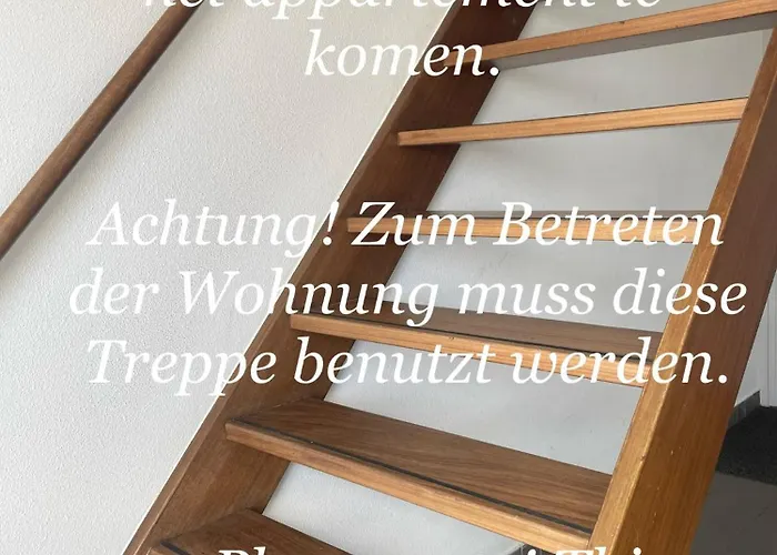 Hotel mit Hund Vitamine Zee