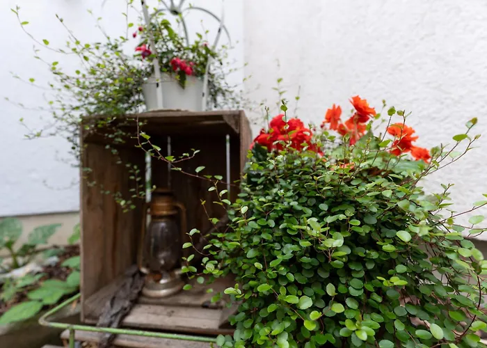 Pension Krone