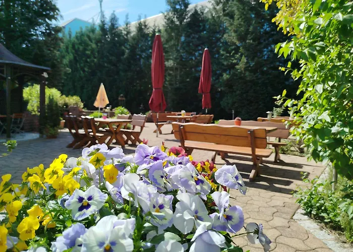 Café Und Zum Grünen Baum