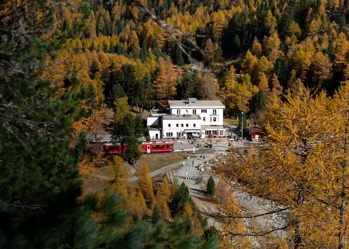 Haustierfreundliches Hotel: Gletscher-Hotel Morteratsch
