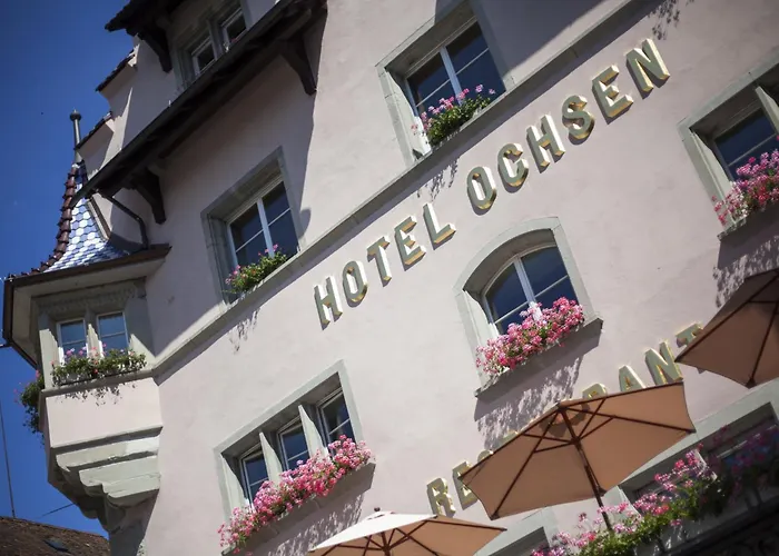 City- Ochsen