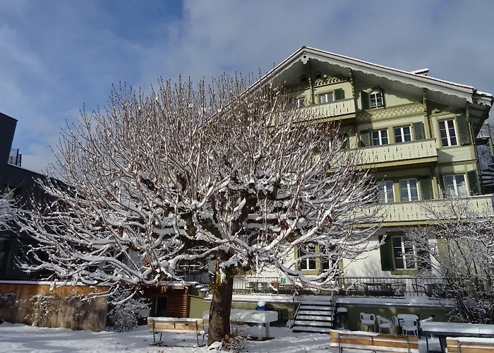  Backpackers Villa Sonnenhof -