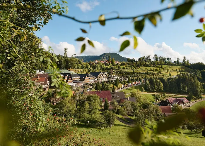 Hotel Dollenberg