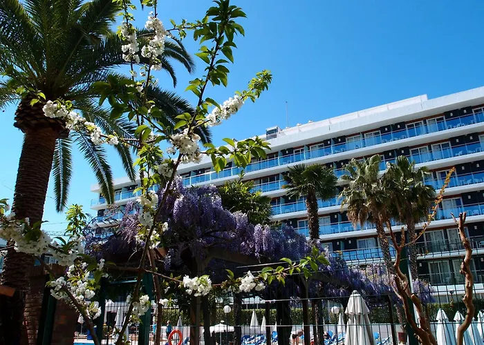 Ping Pong Hotel: Hotel Anabel