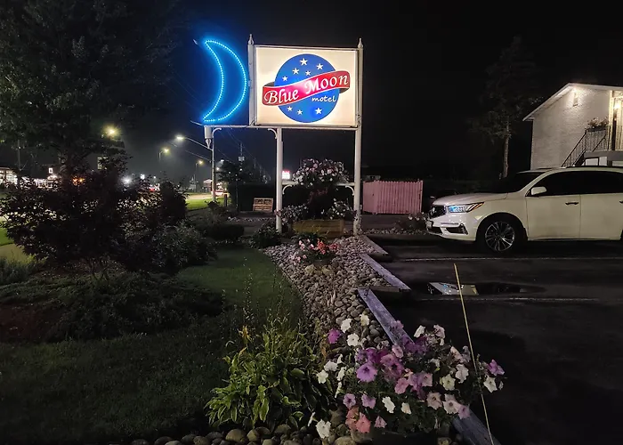 Motels Blue Moon