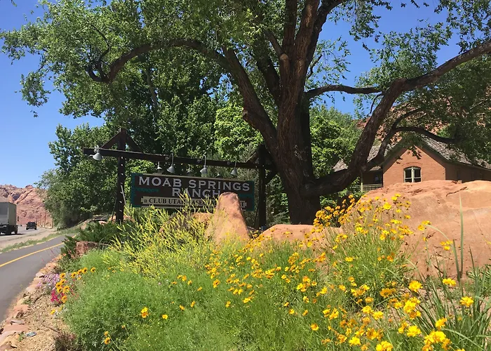 Springs Ranch