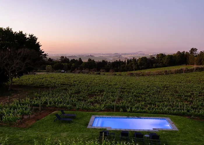  Kunjani s & Wines