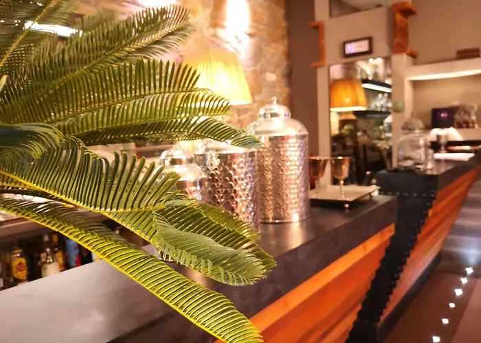 Hotel mit Hund Forvm Boutique