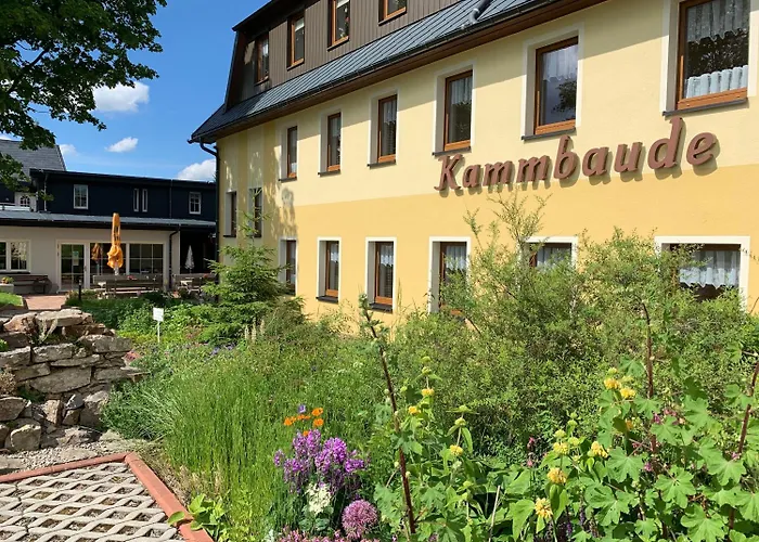 Hotel Dachsbaude&Kammbaude