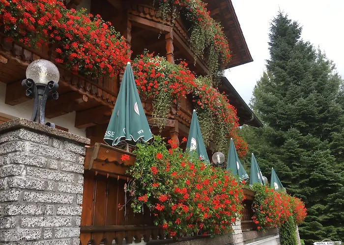 Garnihotel - Arberblick