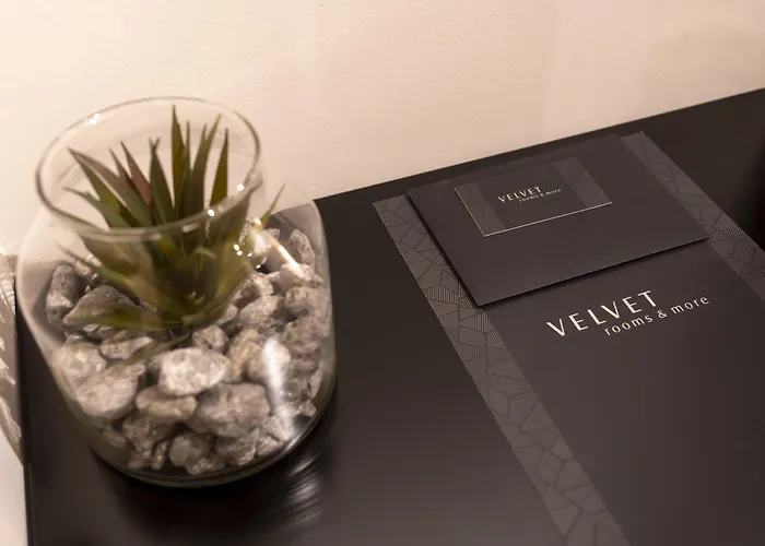 Pension Guide Velvet Rooms & More