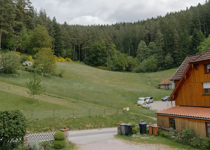 Gasthaus Talblick - Schwarzwald Plus Karte inkludiert