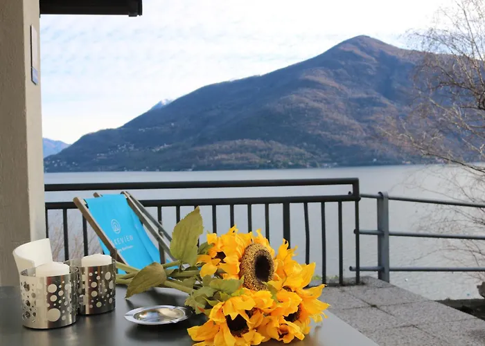 Haustierfreundliches Hotel: Lakeview Cannobio Camping & Resort